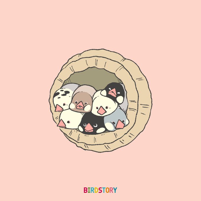 おはようございます。
本日は7月29日、シチフクの語呂合わせから、七福神の日とのことです🐣
#BIRDSTORY 
#七福神の日 #文鳥 