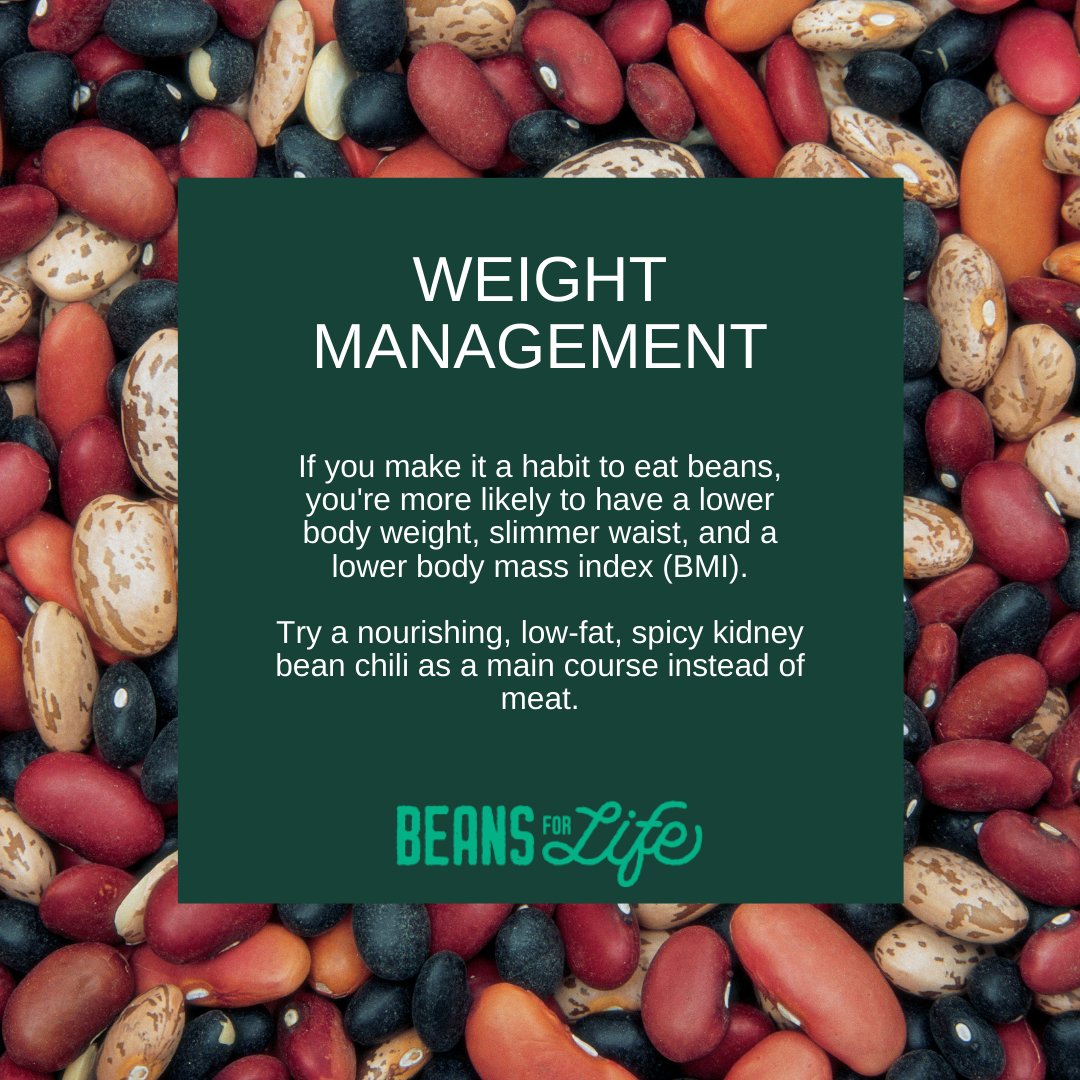 itsbeansforlife's tweet photo. Why are dry beans good for your health? Swipe to learn more >>>

#BeansForLife #EatMoreBeans #HealthBenefits #HealthyEating #Beans #DryBeans #BenefitsOfBeans #SoakingBeans #Beans #HealthTips https://t.co/tkhRIVyB1e