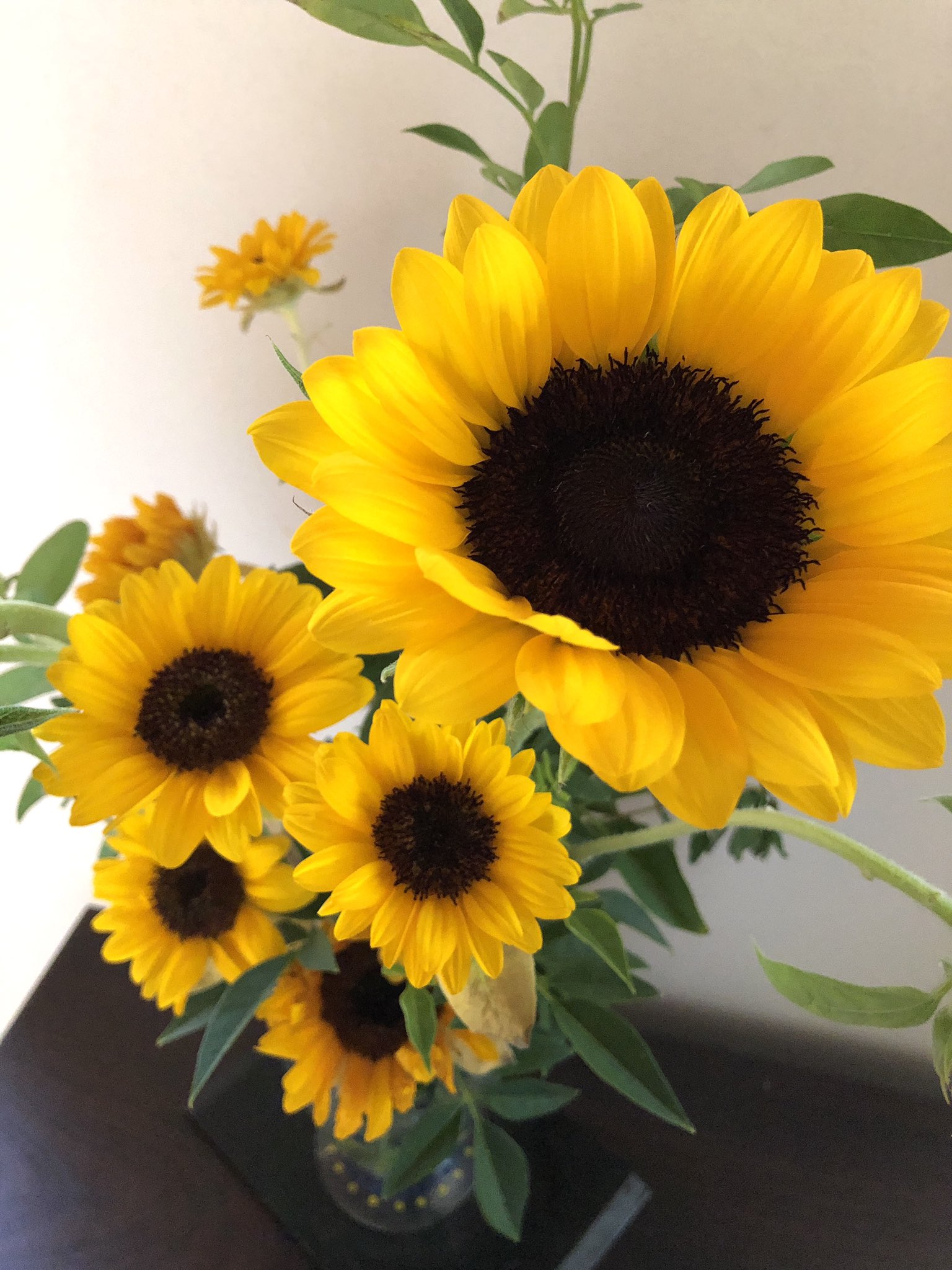 波津彬子 おはようございます 今日もひまわり 今の時期お花屋さんに行くとつい買っちゃうの T Co Souchff1kv Twitter