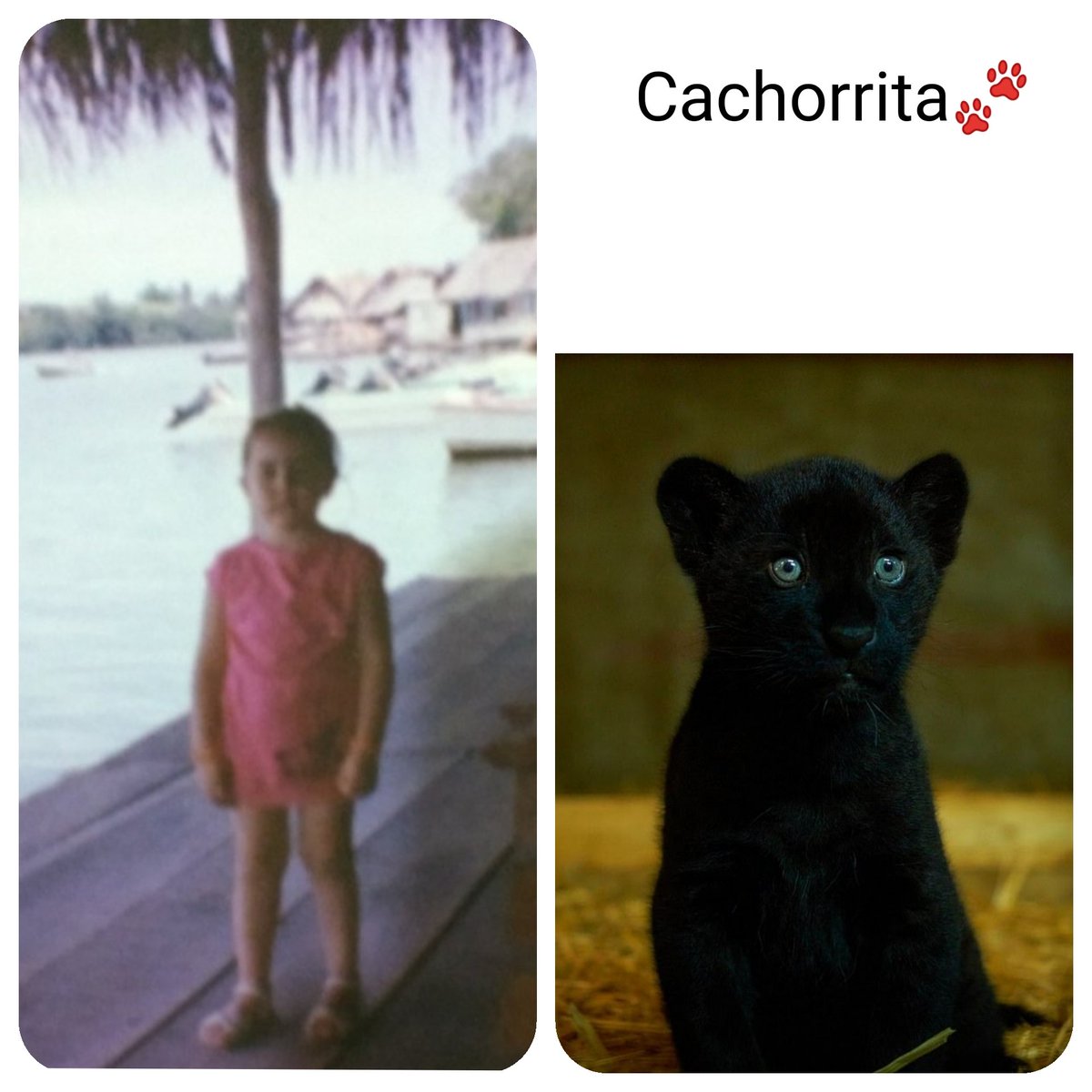 MabeHdz's tweet photo. Los cachetillos! 😌☺️😂😂
Mauu! 💜🎀🐈‍⬛ https://t.co/vYOKFoVI9i