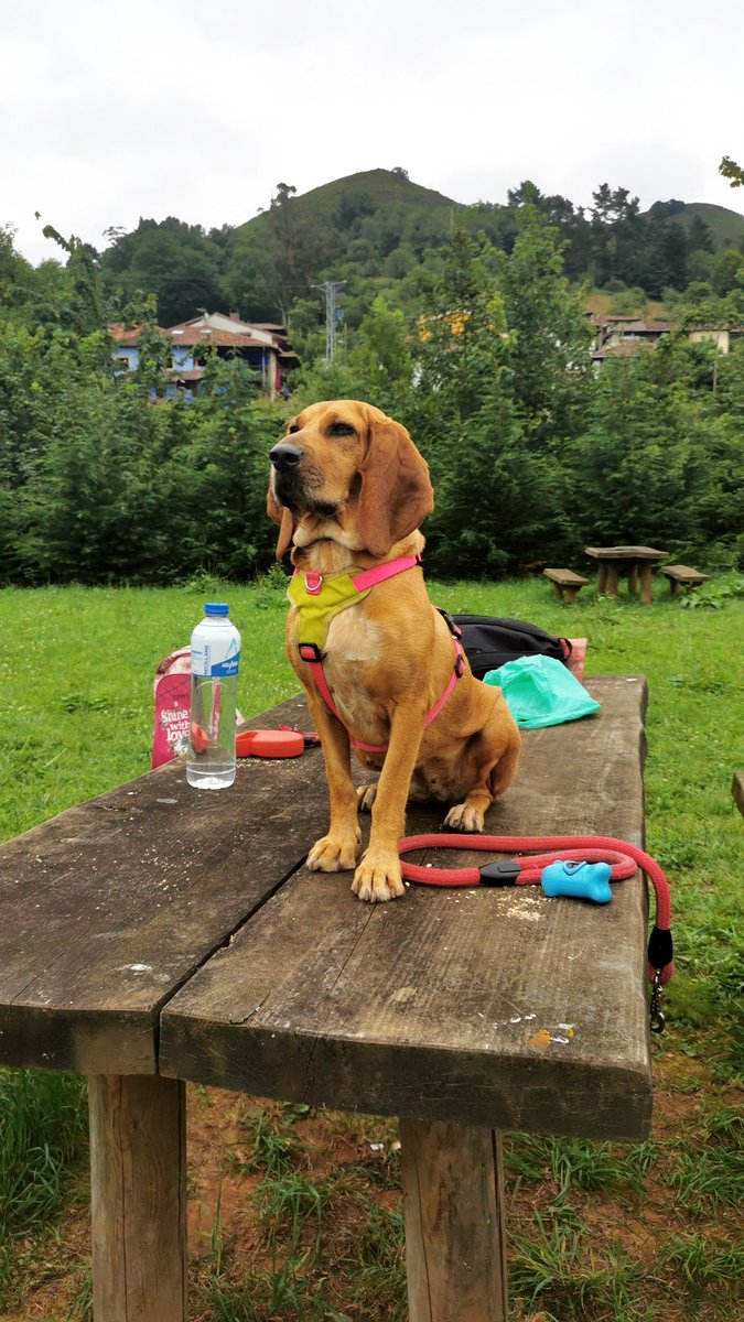 Adrián 🇪🇸🤍 tweet media