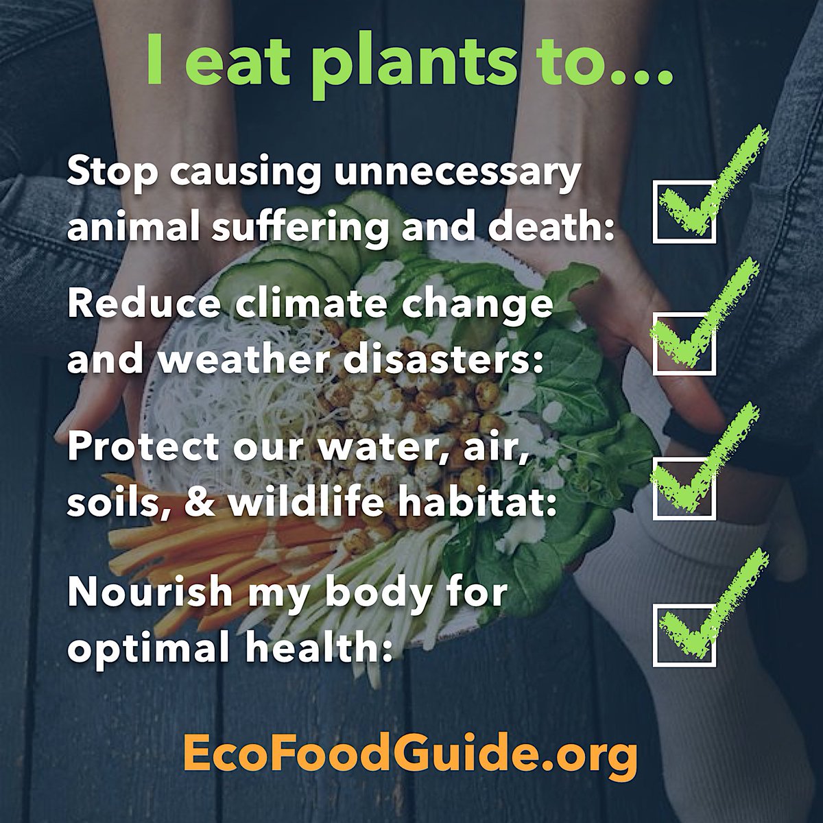 AWellFedWorld's tweet photo. #Plantbased diets are a win-win-win for people, #animals, &amp; the planet. They also happen to be delicious! Share our #EcoFood Guide with someone who could use motivation to put more plants on their plate. https://t.co/PXx1E7dhqM 

#ClimateAction #WildlifeWednesday #ClimateCrisis https://t.co/wdafNKWolN