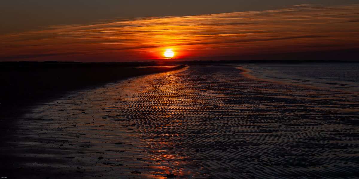 “I’m in love with you and with the world.”