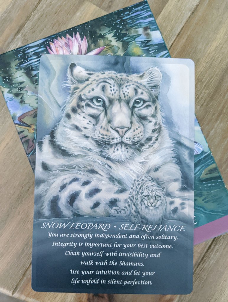 my baby cuz got a spirit animal oracle deck and IT HAS A SNOW LEOPARD CARD!!!!!!!!! ❄️💙
