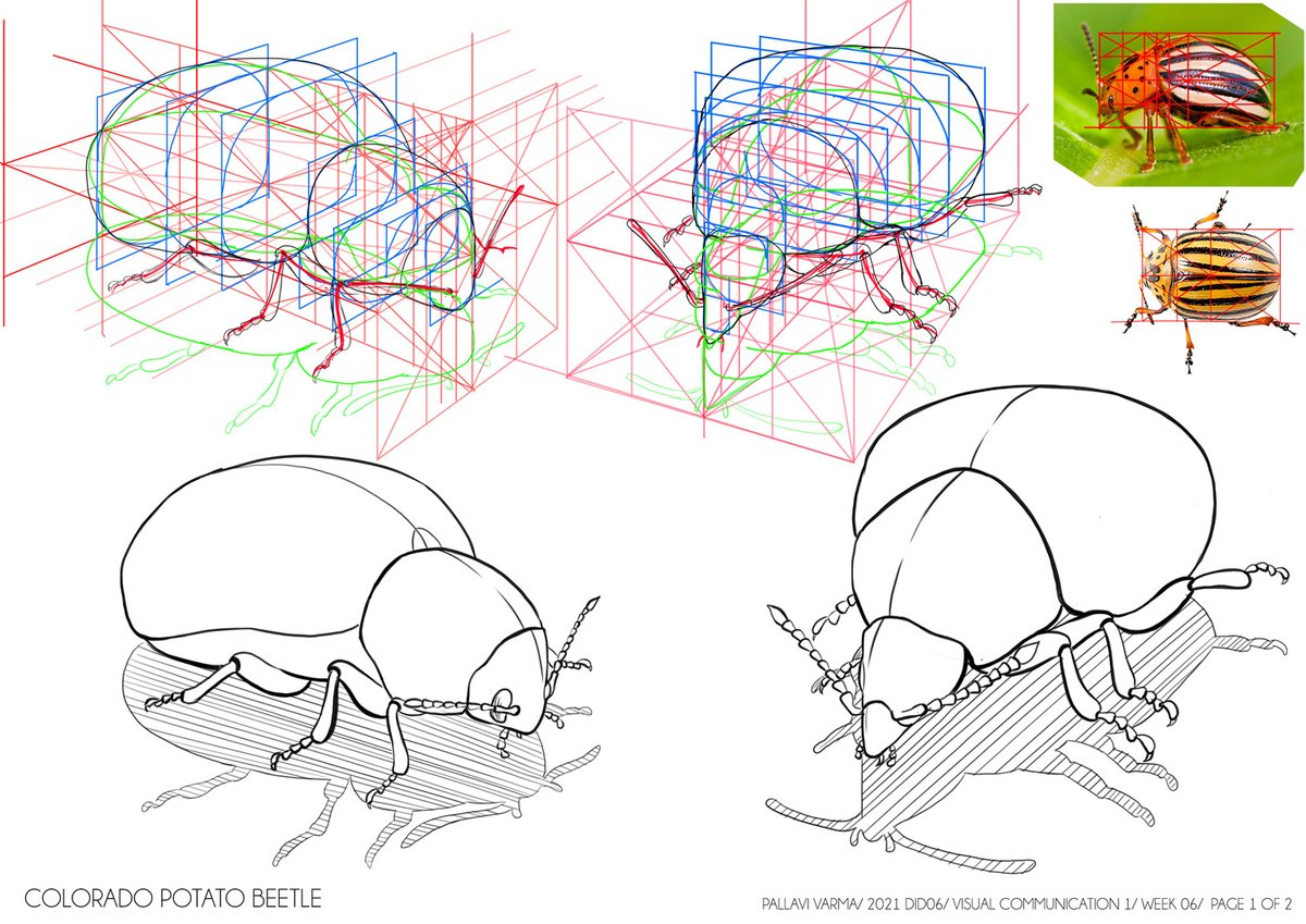 Some great examples of the "draw-through" fundamentals from our current term 1 students. This technique is THE most valuable lesson I ever learned back in ACCD. It completely transformed my assignments from amateur to semi-pro. It's like seeing the code at the end of the Matrix😎