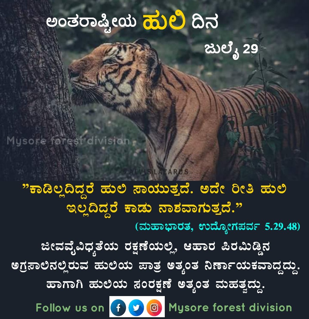 Mysore forest division tweet media