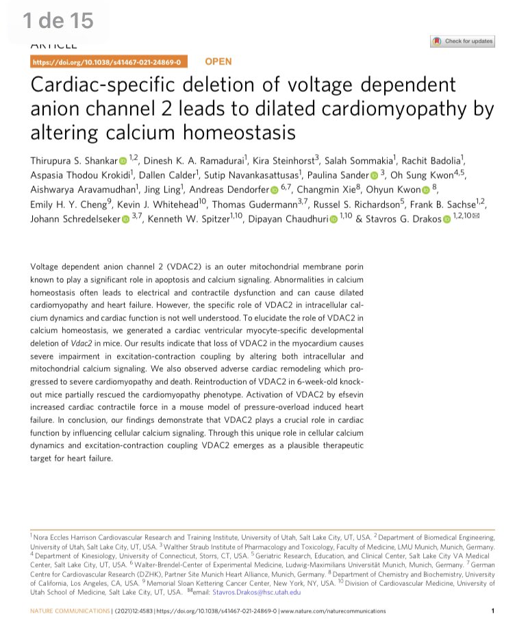 vic_pallares's tweet photo. A protein that controls calcium signaling within heart cells could help prevent chronic heart failure
#VDAC2
πhttps://t.co/LwnqCt1Qpk
@gt_hta https://t.co/dTr7qUdJ2z