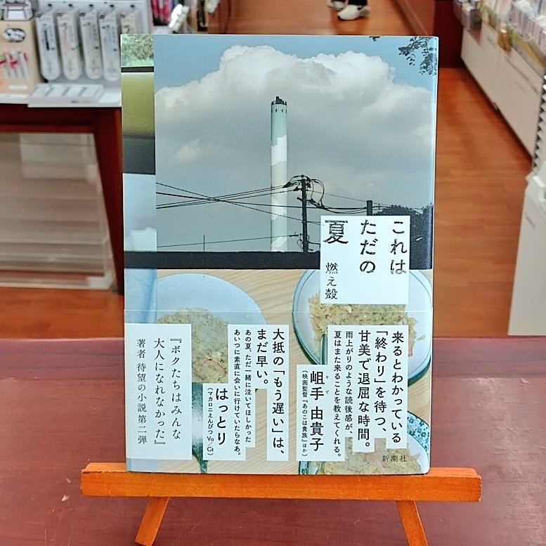 これはただの夏 燃え殻 激安価格と即納で通信販売 これはただの夏 燃え殻 激安価格と即納で通信販売