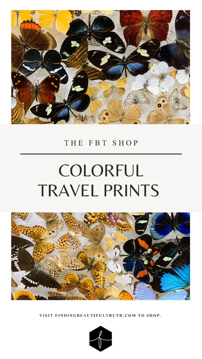 So many new prints hit #TheFBTShop this month. You can snoop 'em all here: thefbtshop.darkroom.tech. 😉