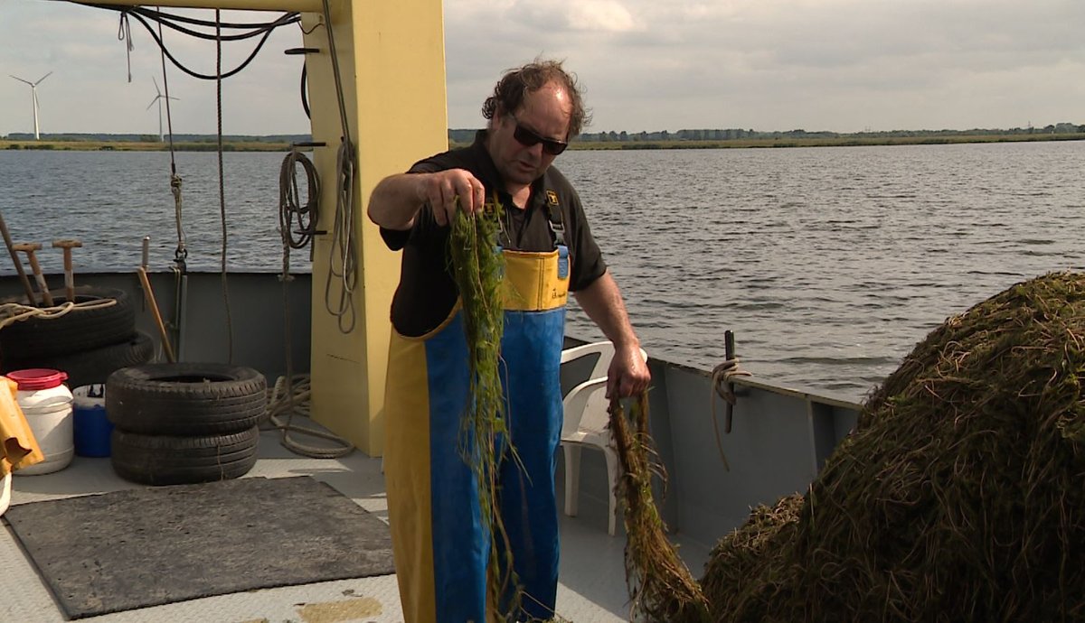 Roep om 120 miljoen euro om randmeren bevaarbaar te houden ogld.nl/v67