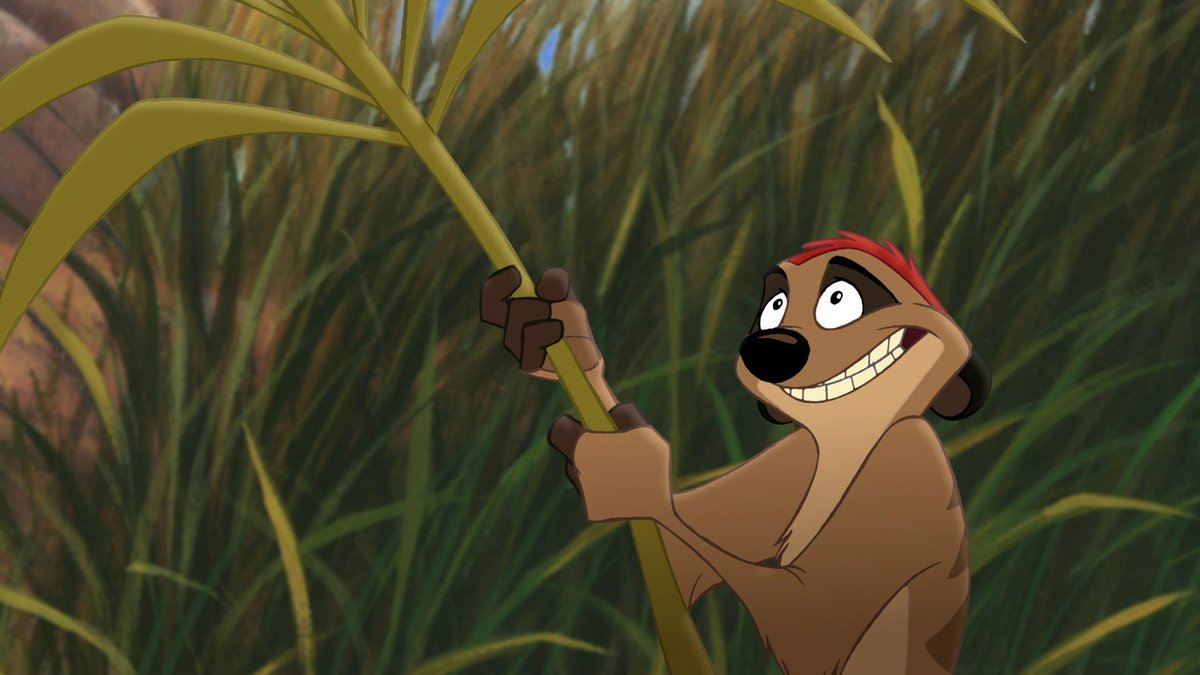 Timon rdd. Timon rdd