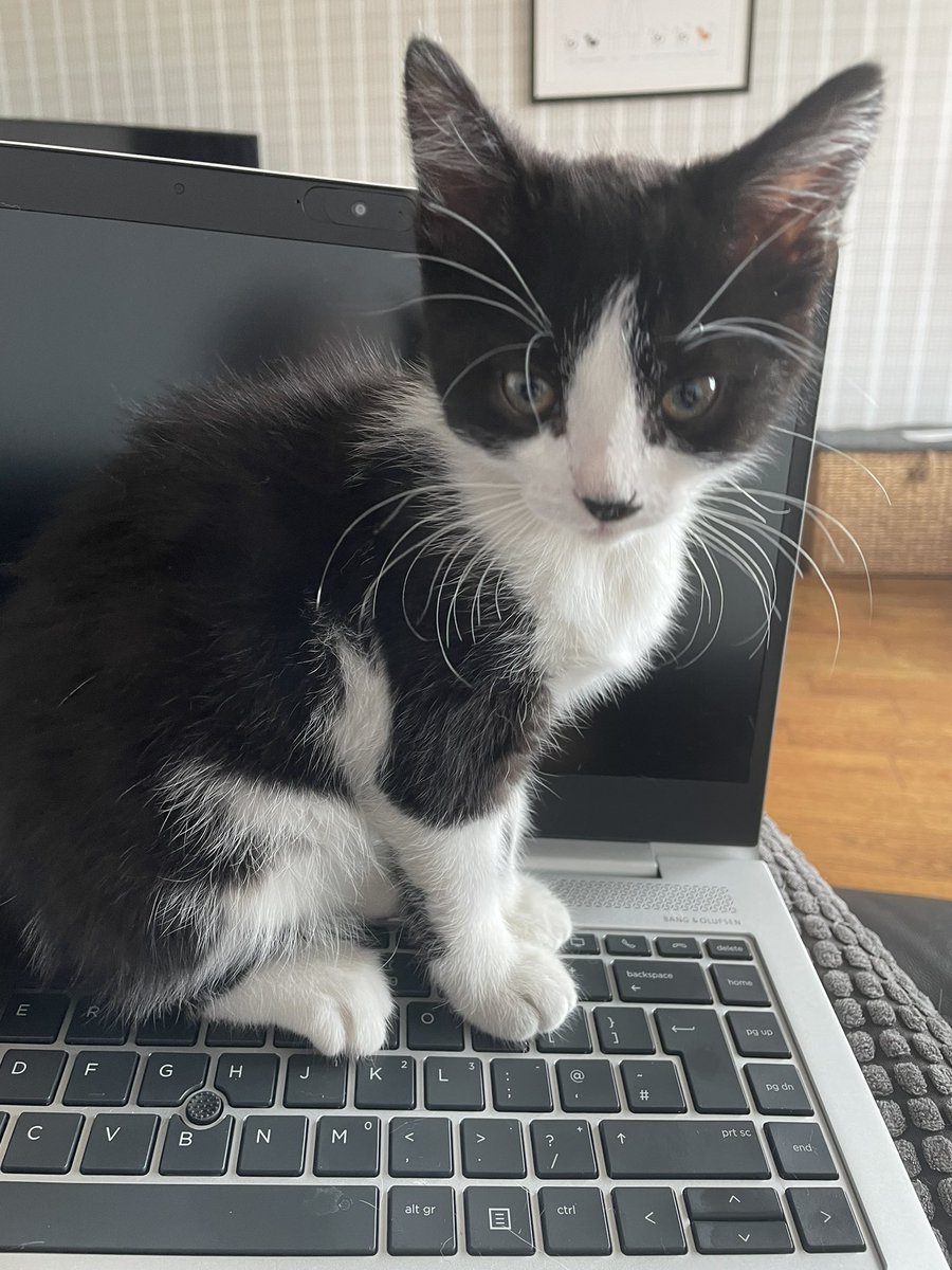 HR have brought in a new recruit to ensure a good work/life balance.