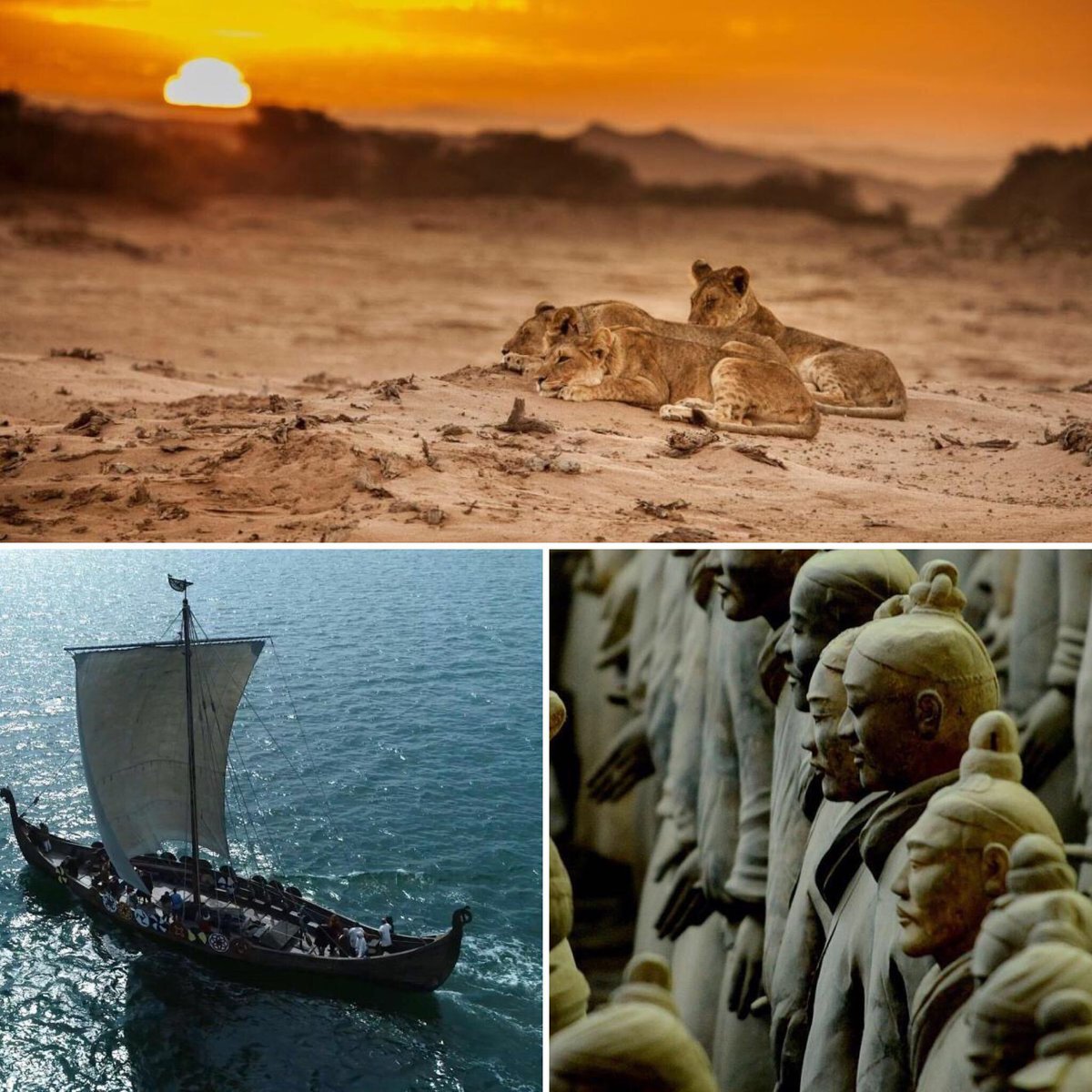 PBSSoCal's tweet photo. On #ThinkWednesday, dive into global domination...sort of. On @PBSNature discover how cats conquered every corner of the globe, on @novapbs investigate the 9,000 terracotta statues buried with Emperor Qin Shi Huang of China, and on @SecretsPBS examine a Viking grave. 8p PBSSoCal https://t.co/RM0ttKga16