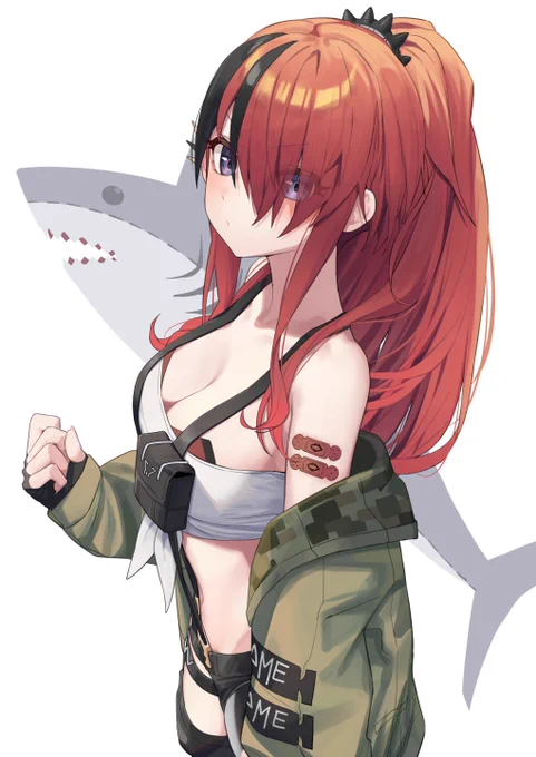 #公開可能な依頼書 

🦈 