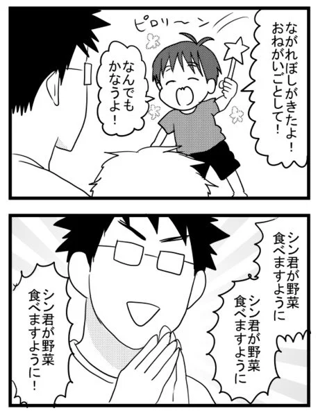 流れ星に願いを
#うちのこざんまい https://t.co/lBl83O0uuR 
