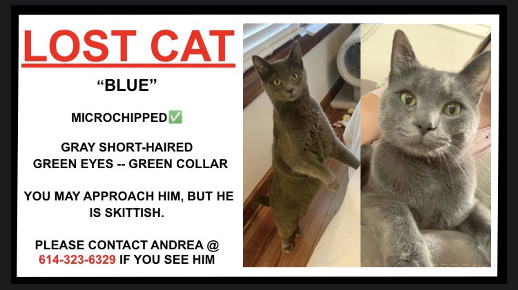 abigaildelaney_'s tweet photo. Anyone in the Columbus/Grandview area please keep an eye out!! https://t.co/0OrKfgUzrq