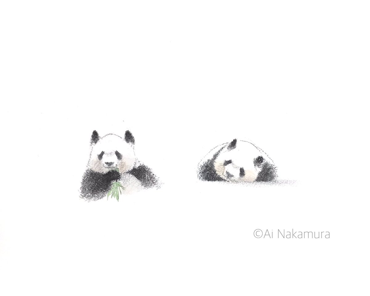 Avainsana 王子動物園 Twitterissa Avainsana 王子動物園 Twitterissa