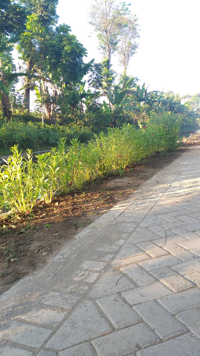 nanissaa_'s tweet image. metik bunga tuh seru banget yaa

ga dijual guys, ini dipake sendiri buat nanti sore✨
#thursdayroutine