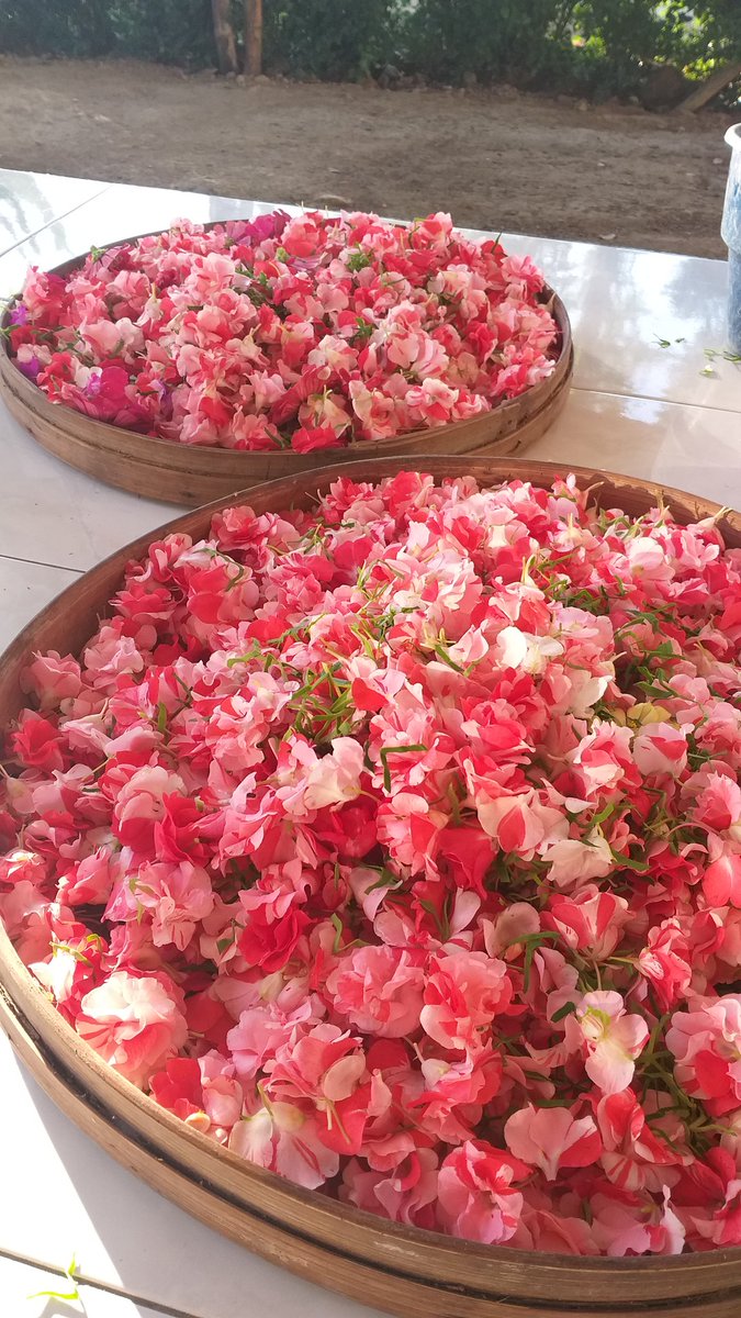 nanissaa_'s tweet image. metik bunga tuh seru banget yaa

ga dijual guys, ini dipake sendiri buat nanti sore✨
#thursdayroutine