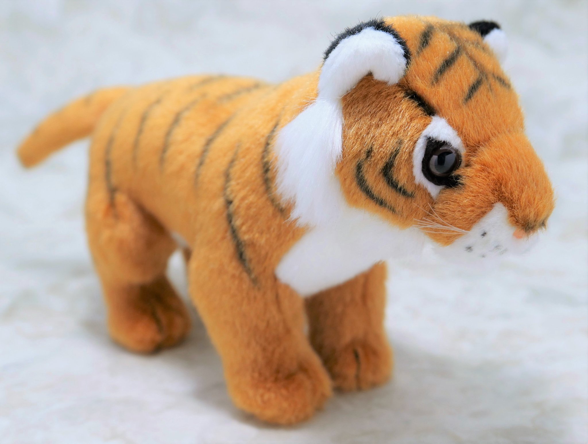 E7bPJNsVgAI4BQA.jpg:large