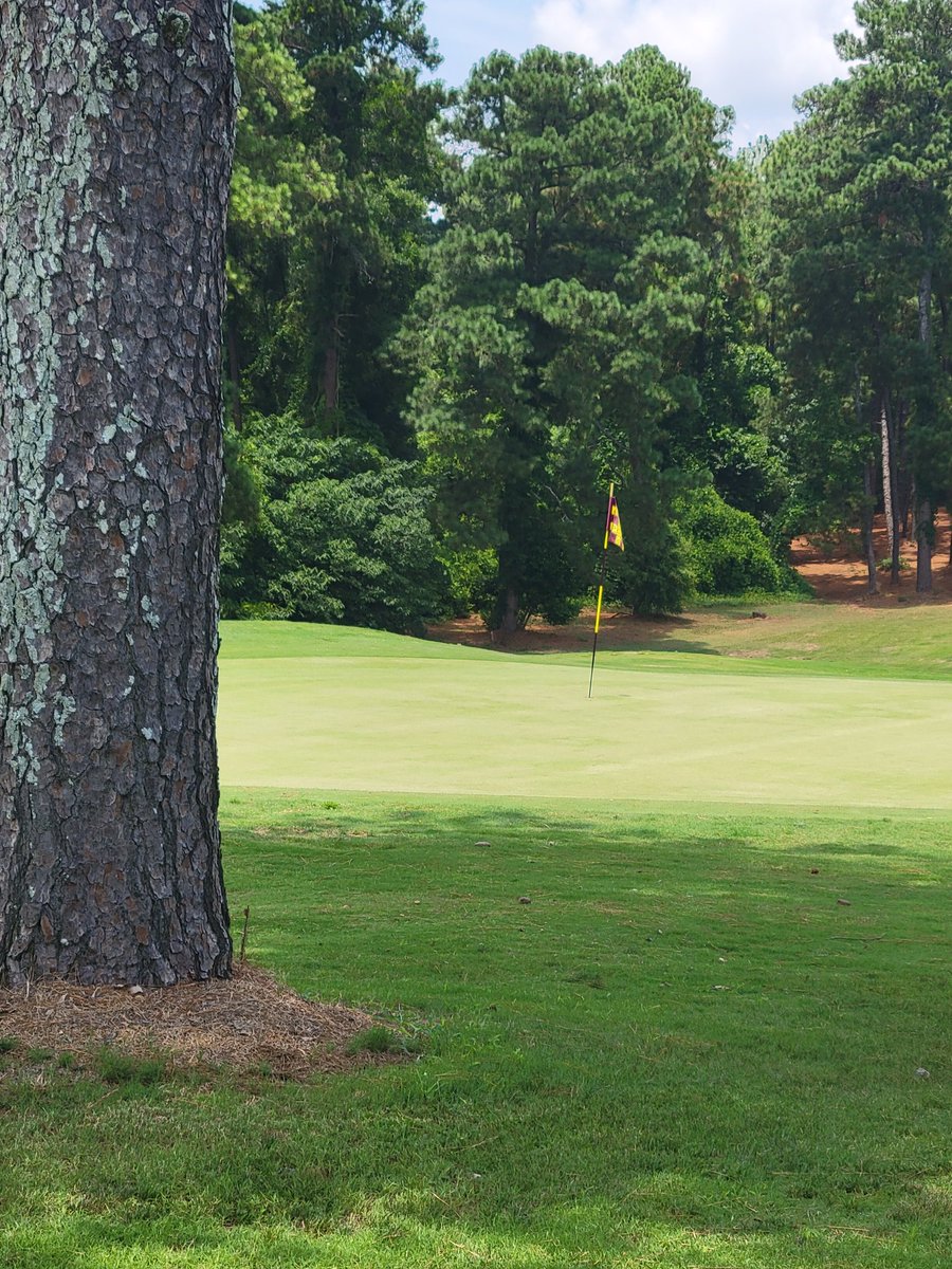 Augusta Municipal GC tweet media