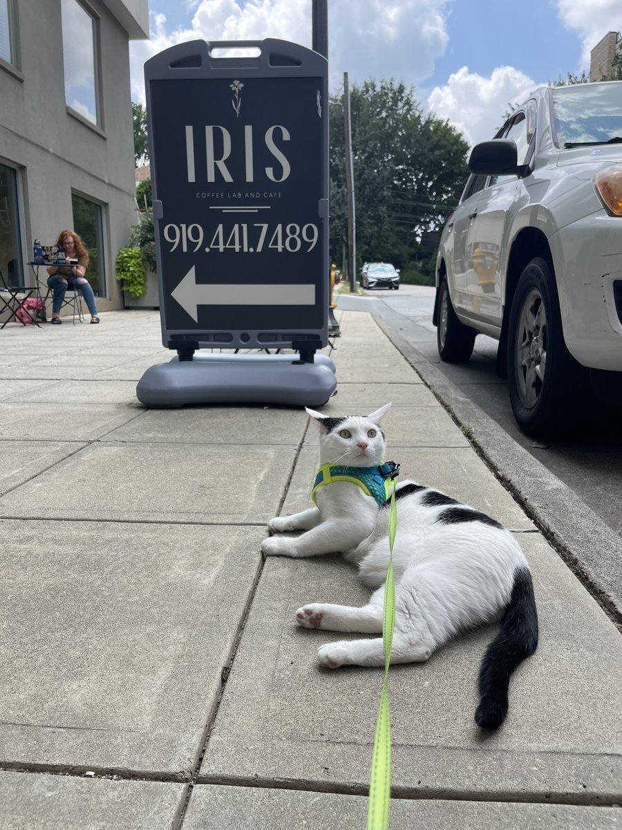 Sam Grandel tweet media