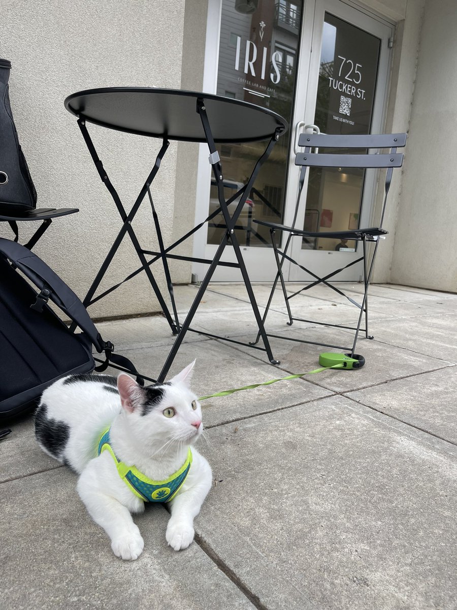 Sam Grandel tweet media