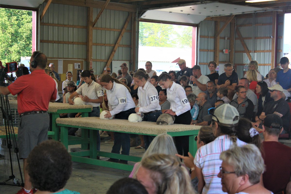 MarysvilleOHFFA's tweet photo. Union County Fair Market Rabbit Show. 
#PTBM #unioncountyfair #FFAA https://t.co/2uRPU9TWl4