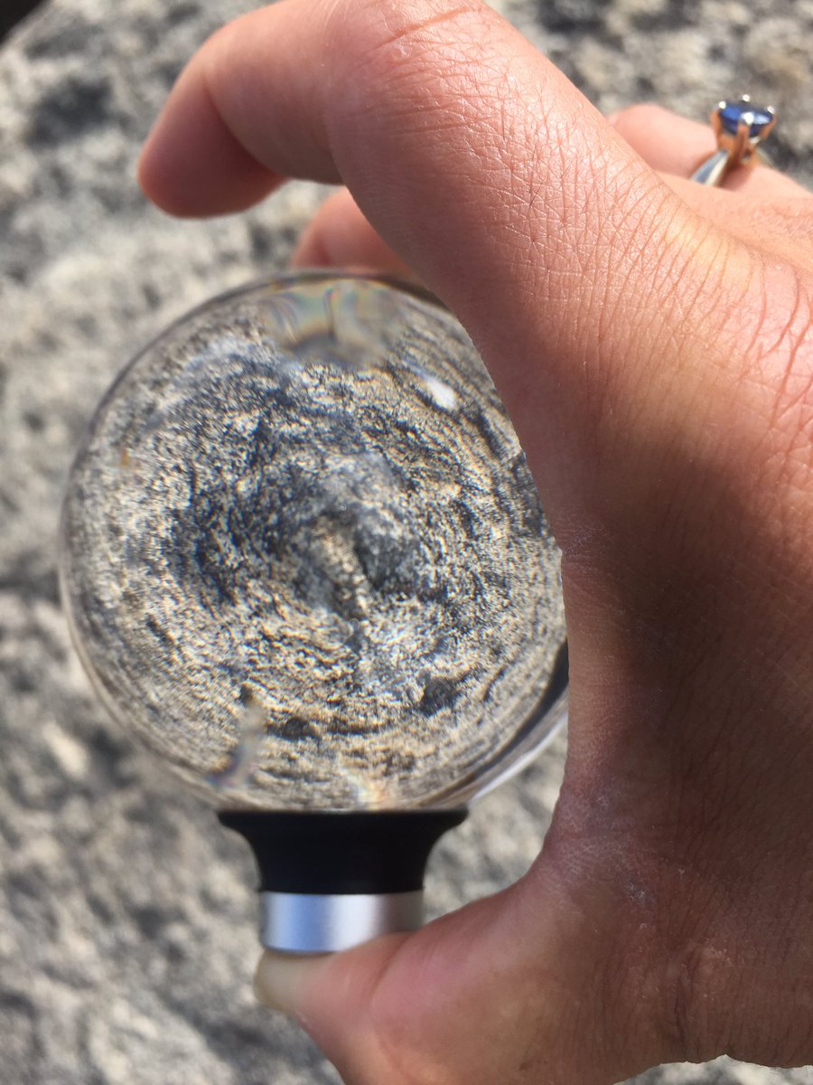 hollyastuart's tweet image. More @Lensball1 exploration from today’s hike. 

#stuartscience #expeditionscience #teachbetter #scitlap #tlap