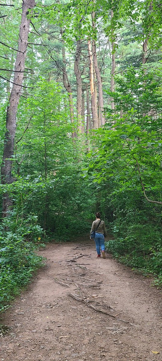 eripsa (professional robot) tweet media