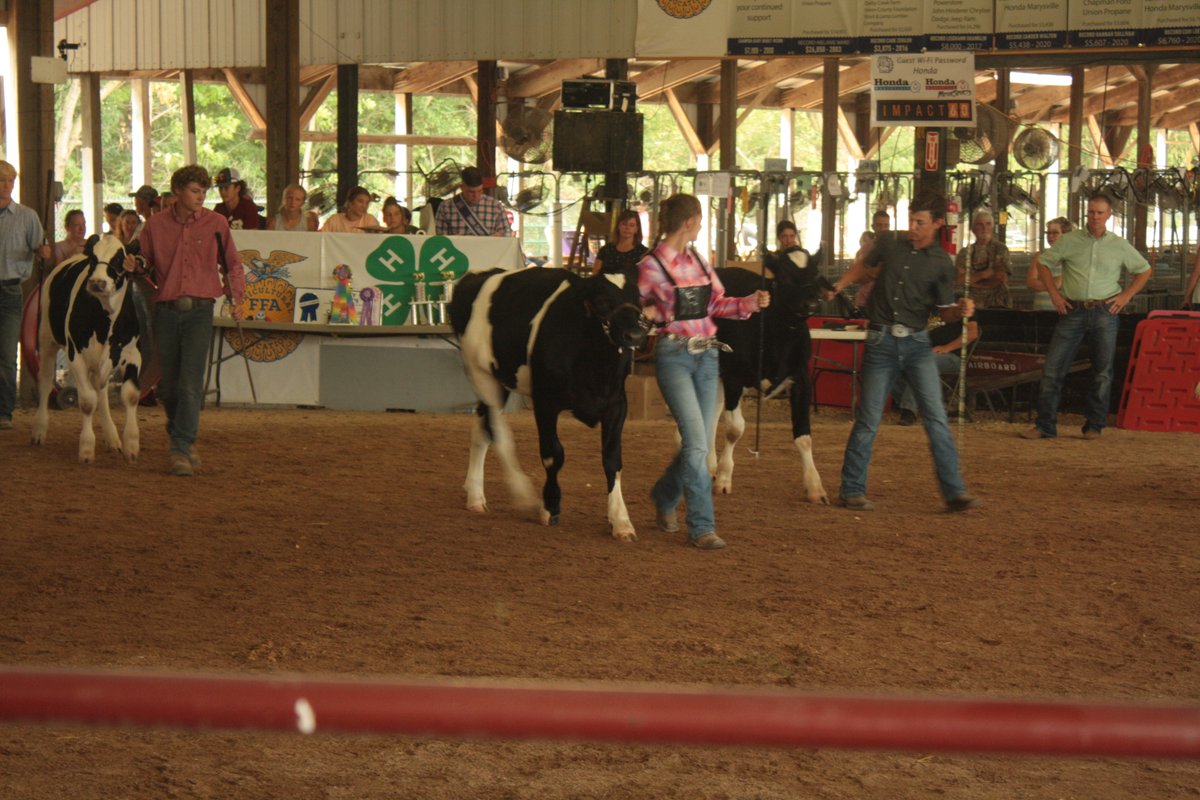 MarysvilleOHFFA's tweet photo. Union County Fair Beef Showmenship

#FFA #UnionCountyFair #PTBM https://t.co/lHF3cQaGLK