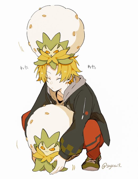 わたわた 