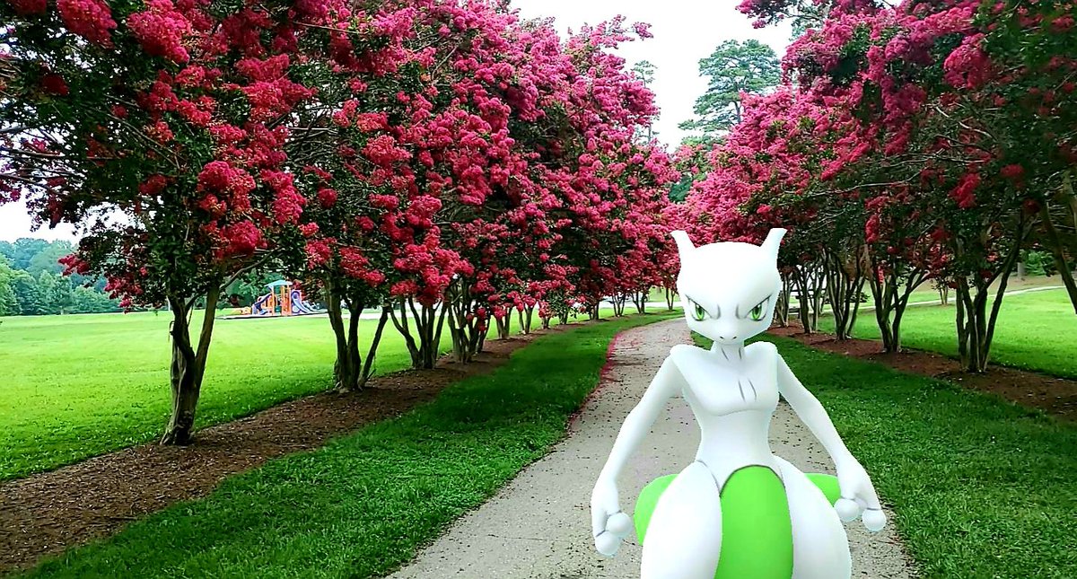 ShinyCrissy's tweet photo. They wanted their photo taken today 🥰

#PokemonGo #Pokemon #ARPhotoADay #ShinyCranidos #ShundoMewtwo https://t.co/NQ9iCvW7EI