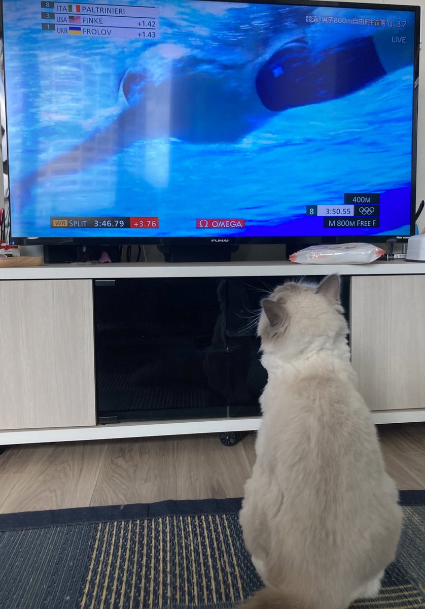 競泳 X フィンランド Hotワード