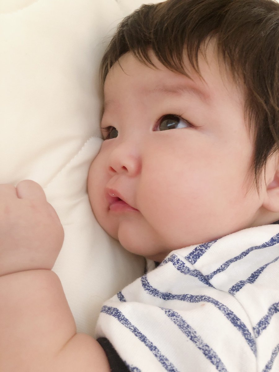 __aichaso's tweet photo. 可愛すぎですがな。尊い。愛。 https://t.co/JuJuBMGJy0