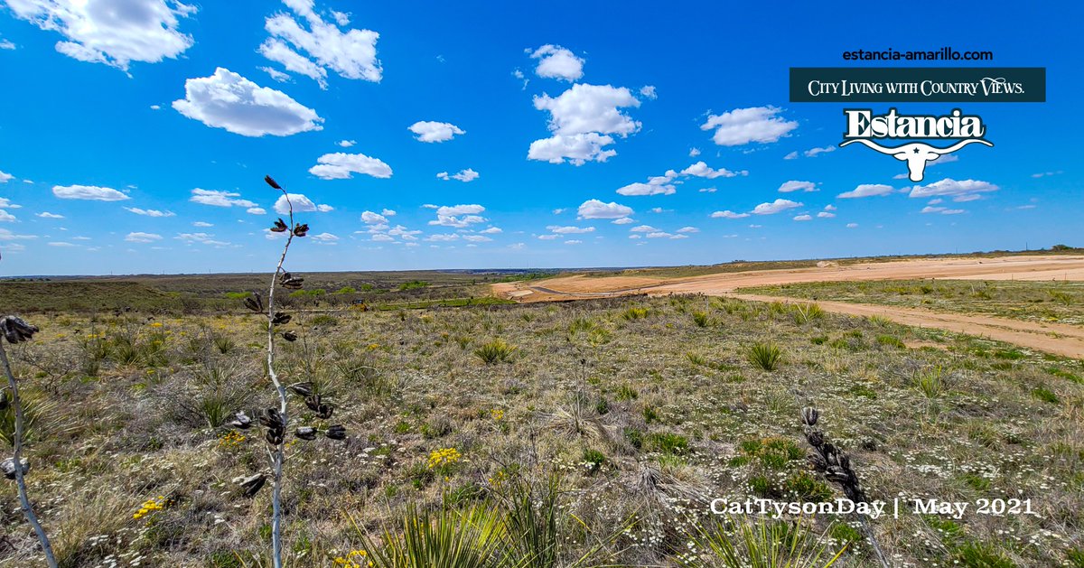 The views of a Texas countryside. #estanciaamarillo @amarillotexas #lotsforsale