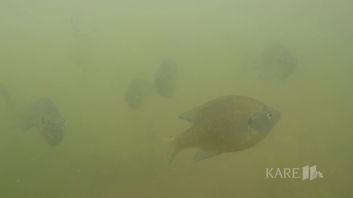 Andy Mac tweet media