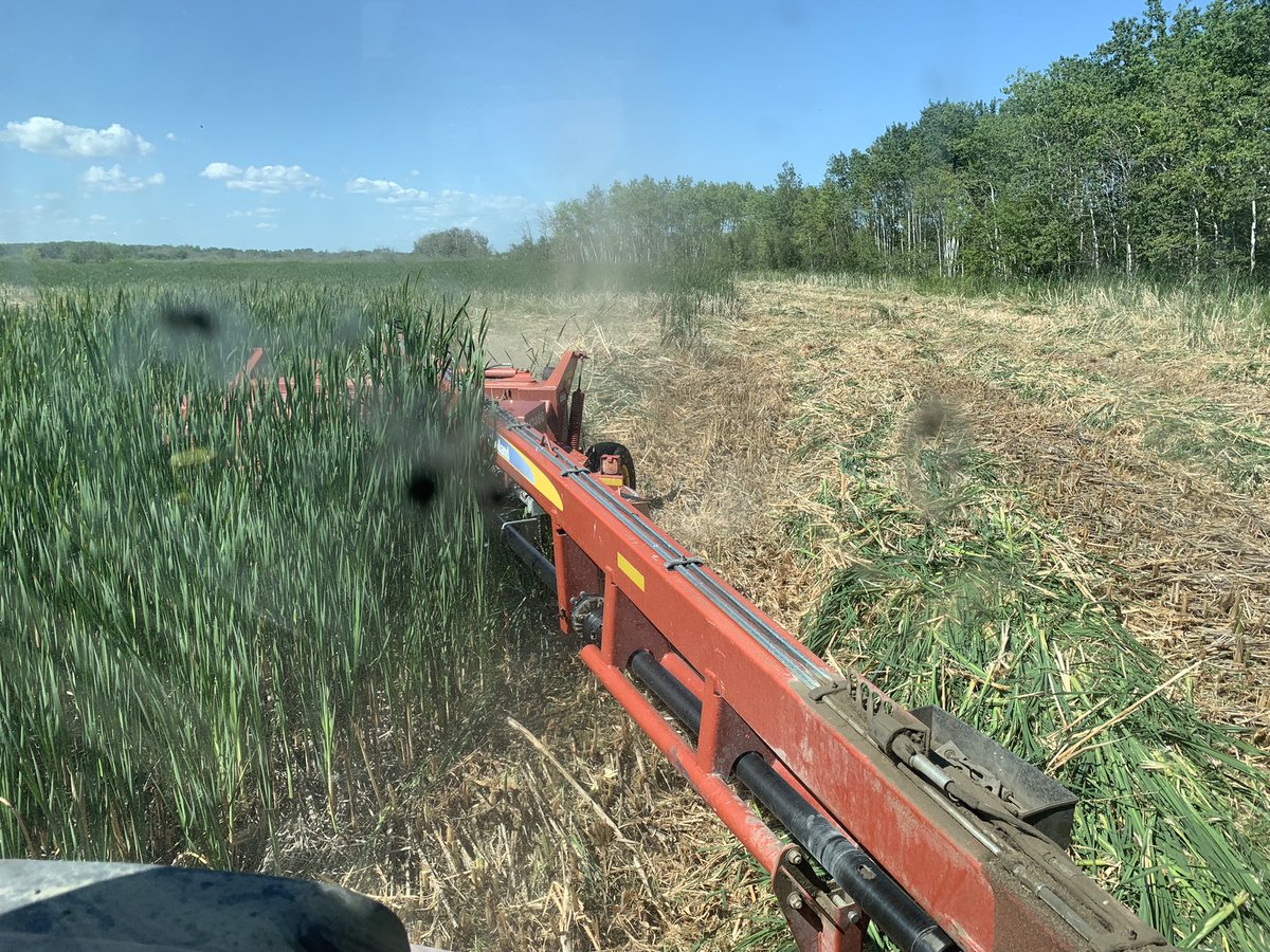 loadz_lytwyn's tweet photo. Back at it today! @overbystockfarm
#Drought21 https://t.co/27KbwvKapt
