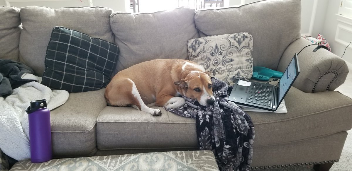 Sandy Neilsen tweet media