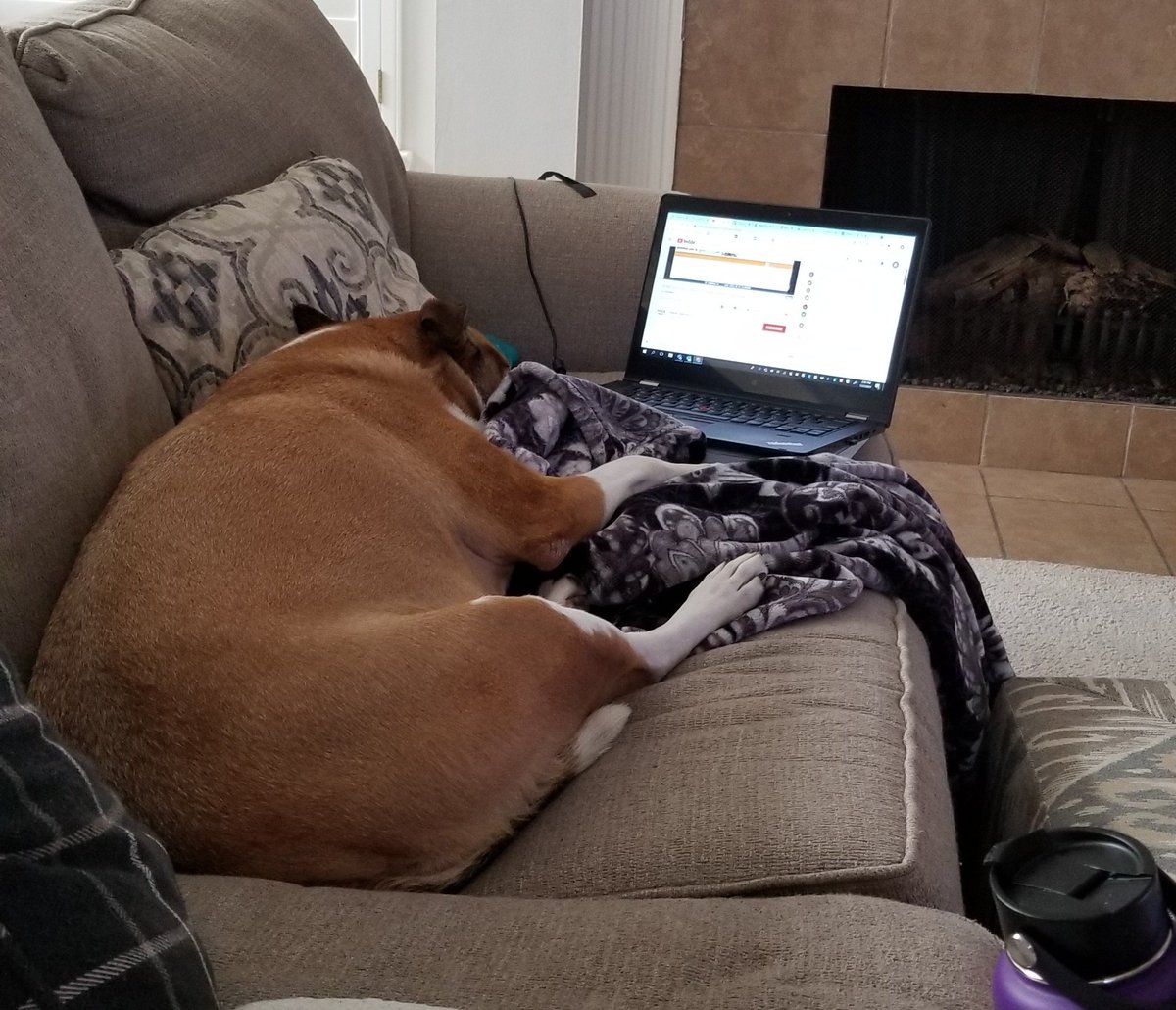 Sandy Neilsen tweet media