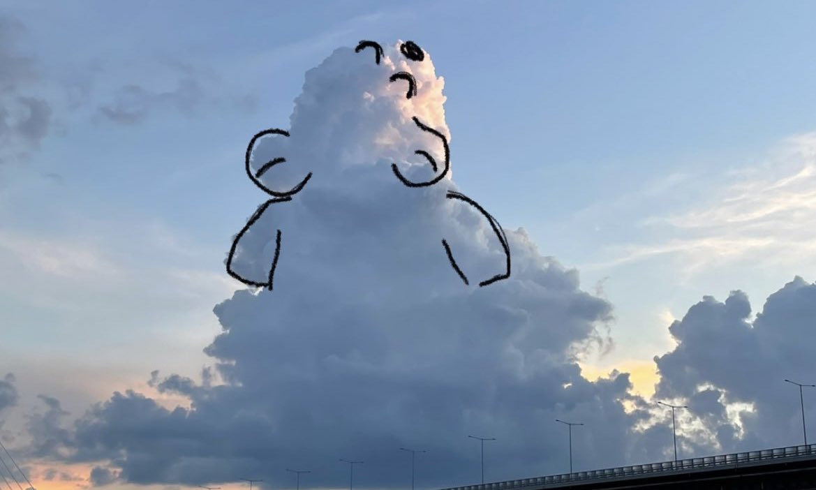 김파랑 🌹 tweet media