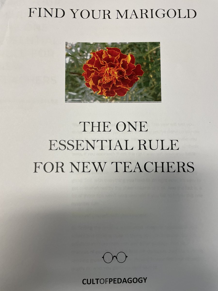 racheladamstn's tweet photo. Our @gms_tn leadership team hard at work &amp; dedicated to encouraging, supporting, &amp; nurturing others at GMS! They are our marigolds! #bolddreams #boldschool #cultivatingleaders #championsofstudentlearning #GDevilPride https://t.co/jbv2ViTt7V