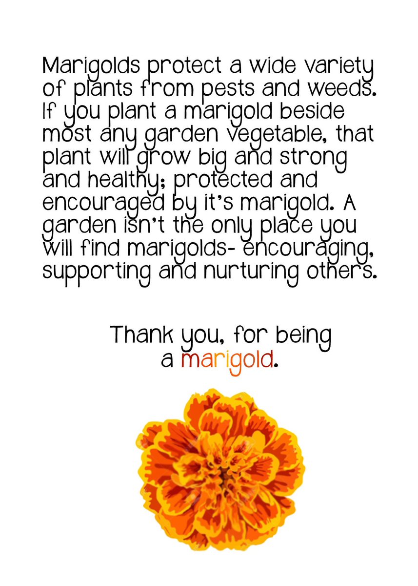 racheladamstn's tweet photo. Our @gms_tn leadership team hard at work &amp; dedicated to encouraging, supporting, &amp; nurturing others at GMS! They are our marigolds! #bolddreams #boldschool #cultivatingleaders #championsofstudentlearning #GDevilPride https://t.co/jbv2ViTt7V