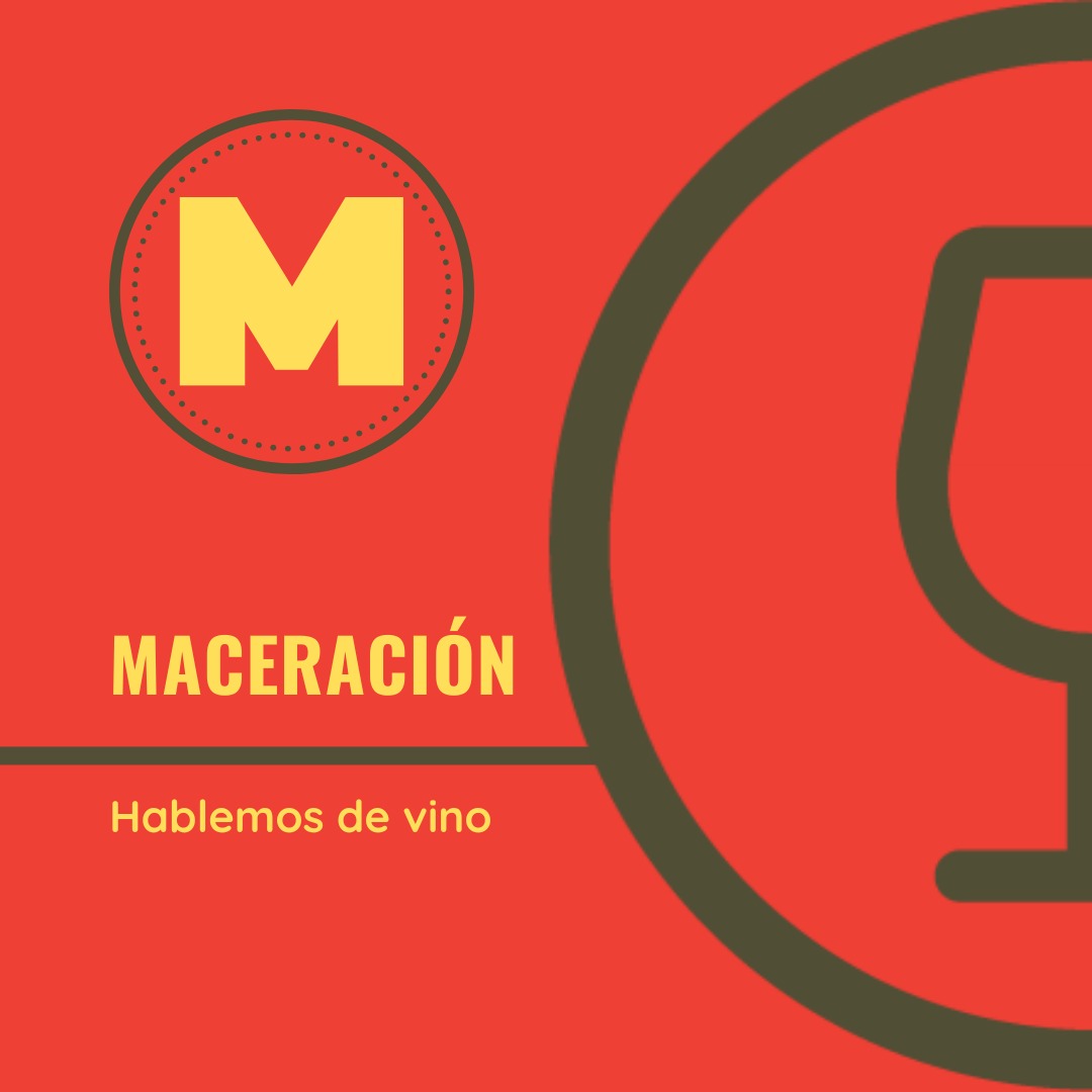LaEnoteca1902's tweet photo. #HablemosDeVino
Continuamos con el glosario del mundo del 🍷.
.
𝕄𝔸ℂ𝔼ℝ𝔸ℂ𝕀Óℕ 👉Contacto del mosto o del vino con sus hollejos para extraer materias colorantes y componentes del extracto y de los aromas. Se utiliza generalmente en la elaboración de tintos. https://t.co/IYdnquAx6c