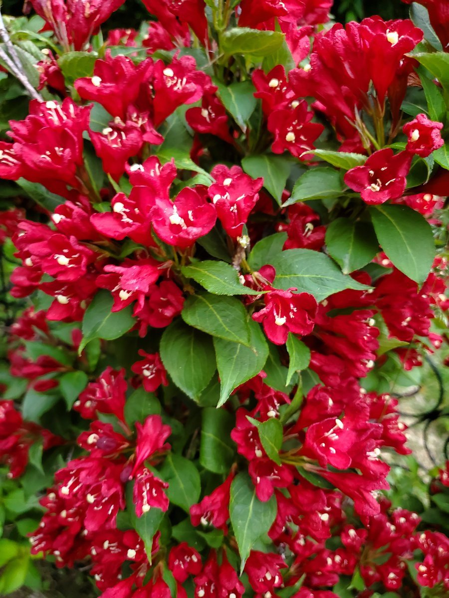 joni 🦋 tweet media