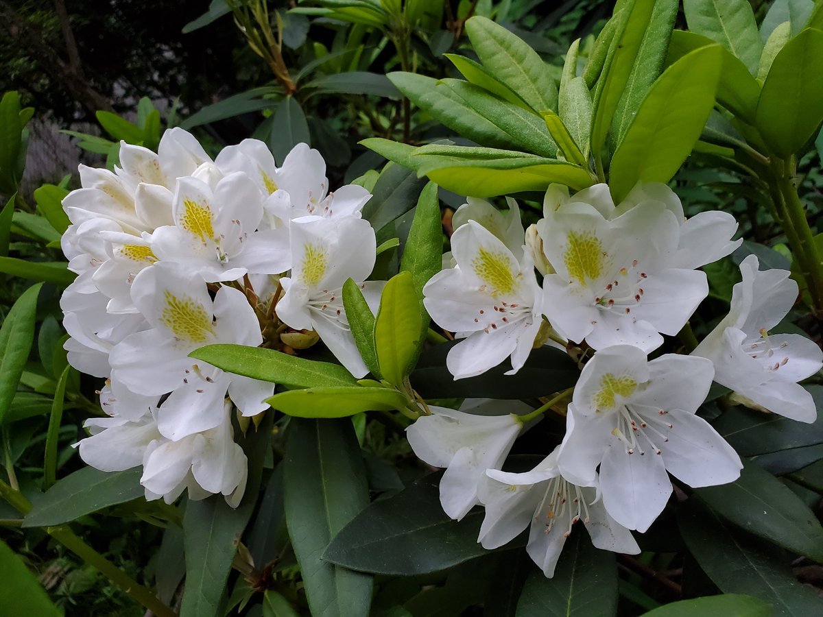 joni 🦋 tweet media