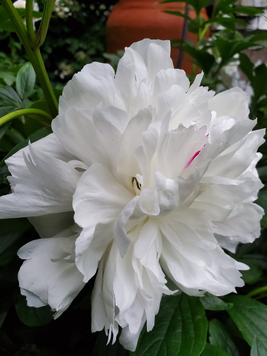 joni 🦋 tweet media