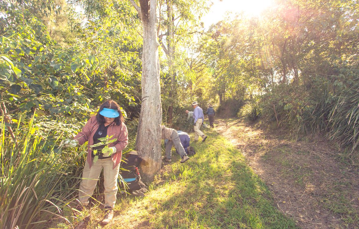 Do you know an individual or community group that deserves recognition for their work towards a clean and green Brisbane? WasteSMART Award nominations are now open: bnecouncil.cc/36XzfVS