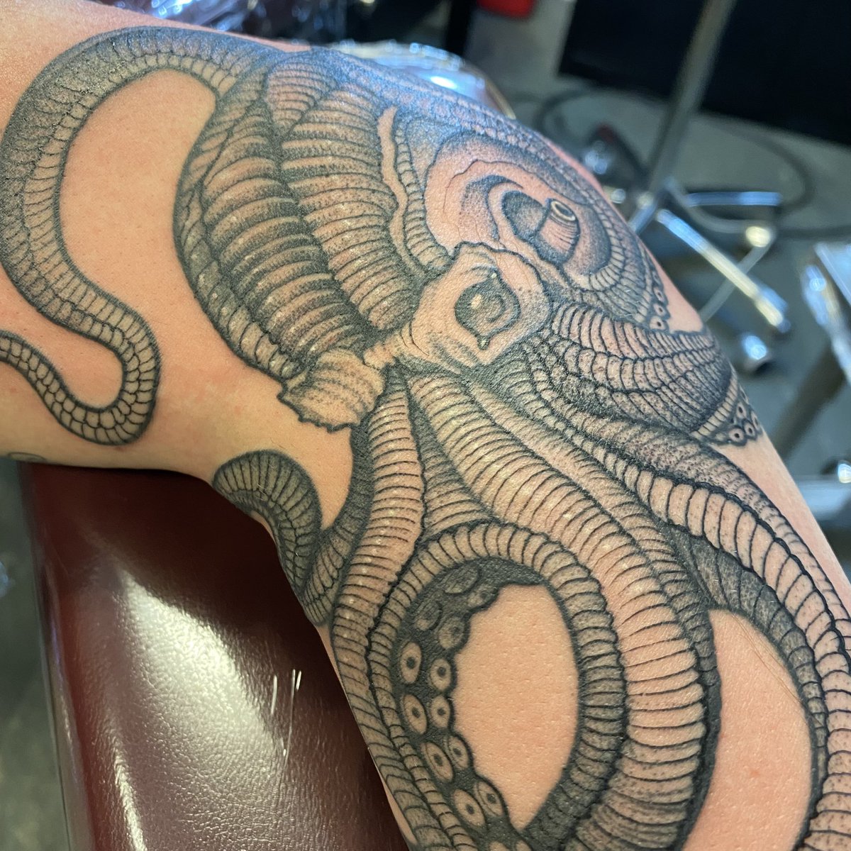 🦑