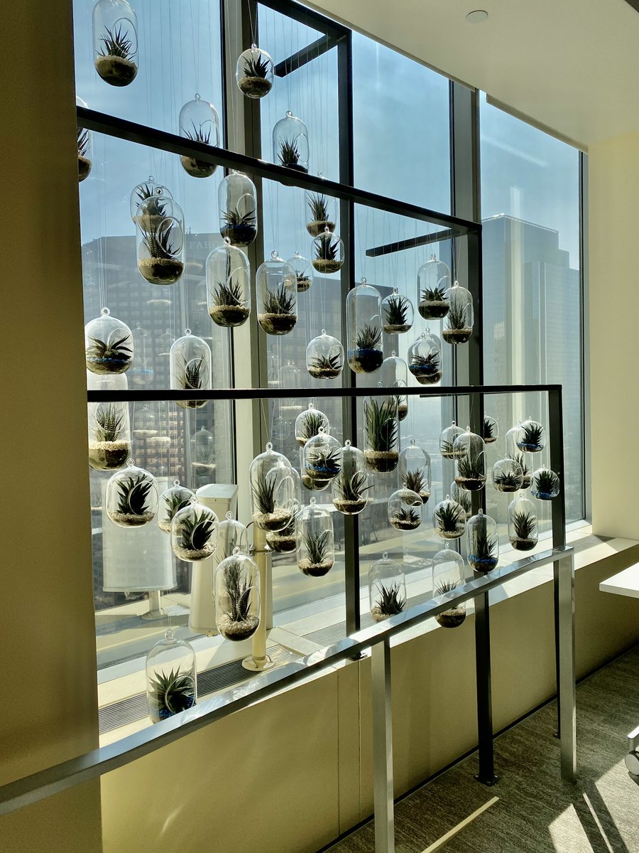 Faciliteq's tweet photo. Did you know that plants have the ability to boost productivity and lengthen your attention span? 

#plants #officedesign #design #workplaceinteriors #haworth #showroom #workplacedesign #officefurniture #workplacesolutions https://t.co/ZteGqWfdbr